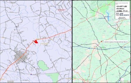 862 DENNY FARM LYNCHES RIVER TRACT TL LOCATOR Thumbnail
