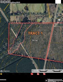 881 Clear Branch T1 Thumbnail