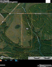 887 Barrow Forest T9 Thumbnail