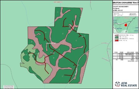 891 BRUTON UWHARRIE TRACT LAYOUT TL COLOR Thumbnail
