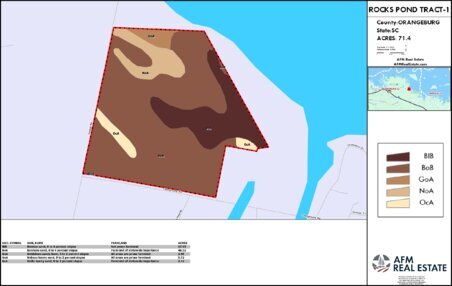 913 ROCKS POND TRACT 1 LAYOUT TL SOIL Thumbnail