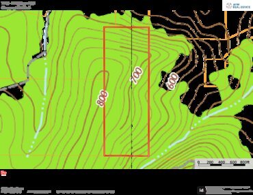 940 Topo T40 Thumbnail