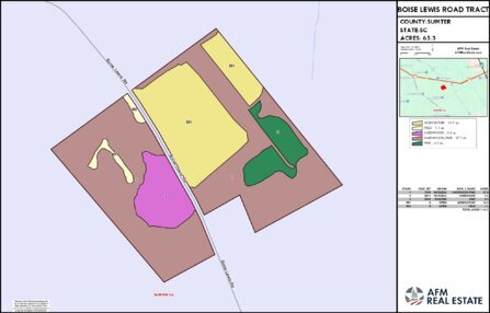 952 BOISE LEWIS ROAD TRACT LAYOUT TL COLOR Thumbnail