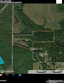 954 Barrow Forest T4 Thumbnail