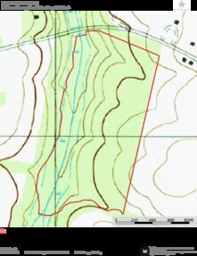 955 DANTZLER BEACH TOPO2 Thumbnail