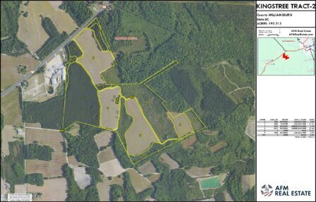 955 KINGSTREE TRACT 2 LAYOUT TL NAIP2025 IMAGE Thumbnail