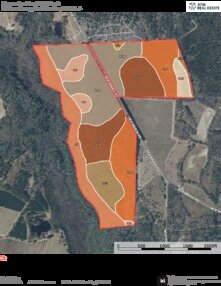 973 BEAVERDAM CREEK TRACT SOIL MAP Thumbnail