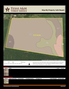 978 clear branch T2 soil 01 08 2026 053747 Thumbnail