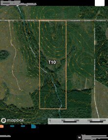 98 Barrow Forest T10 Thumbnail