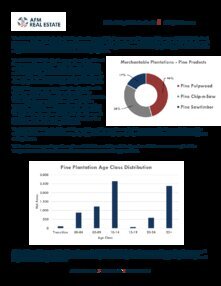Lake Talquin Property Summary Thumbnail