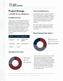Project Omega Portfolio Summary Thumbnail