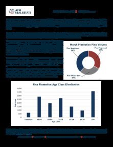 Project Mockingbird Property Summary052626 Thumbnail